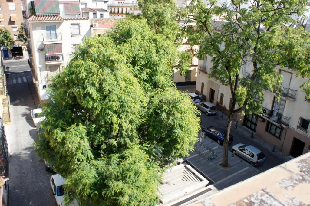Pension Perez Montilla Sevilla Exterior foto